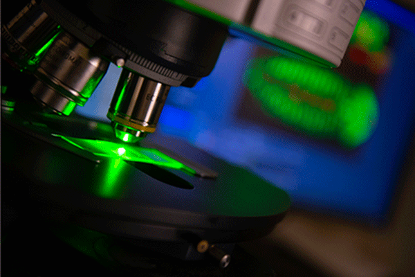 microscope