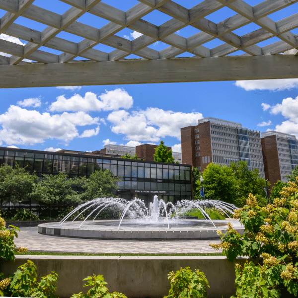 Campus fountain in a landscaped plaza with academic buildings and a blue sky in the background.