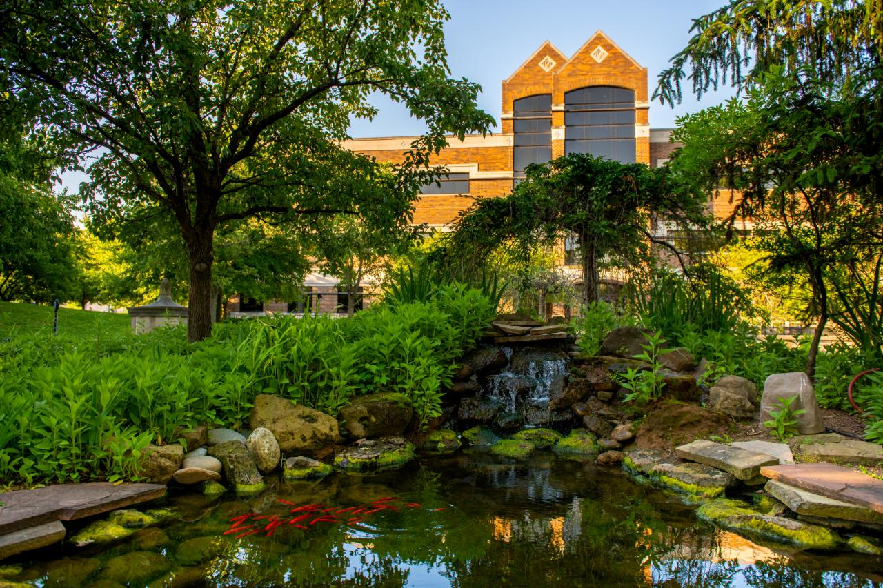Small waterfall and pond with red fish surrounded by green plants and trees in front of a multi-story brick building under a clear blue sky.