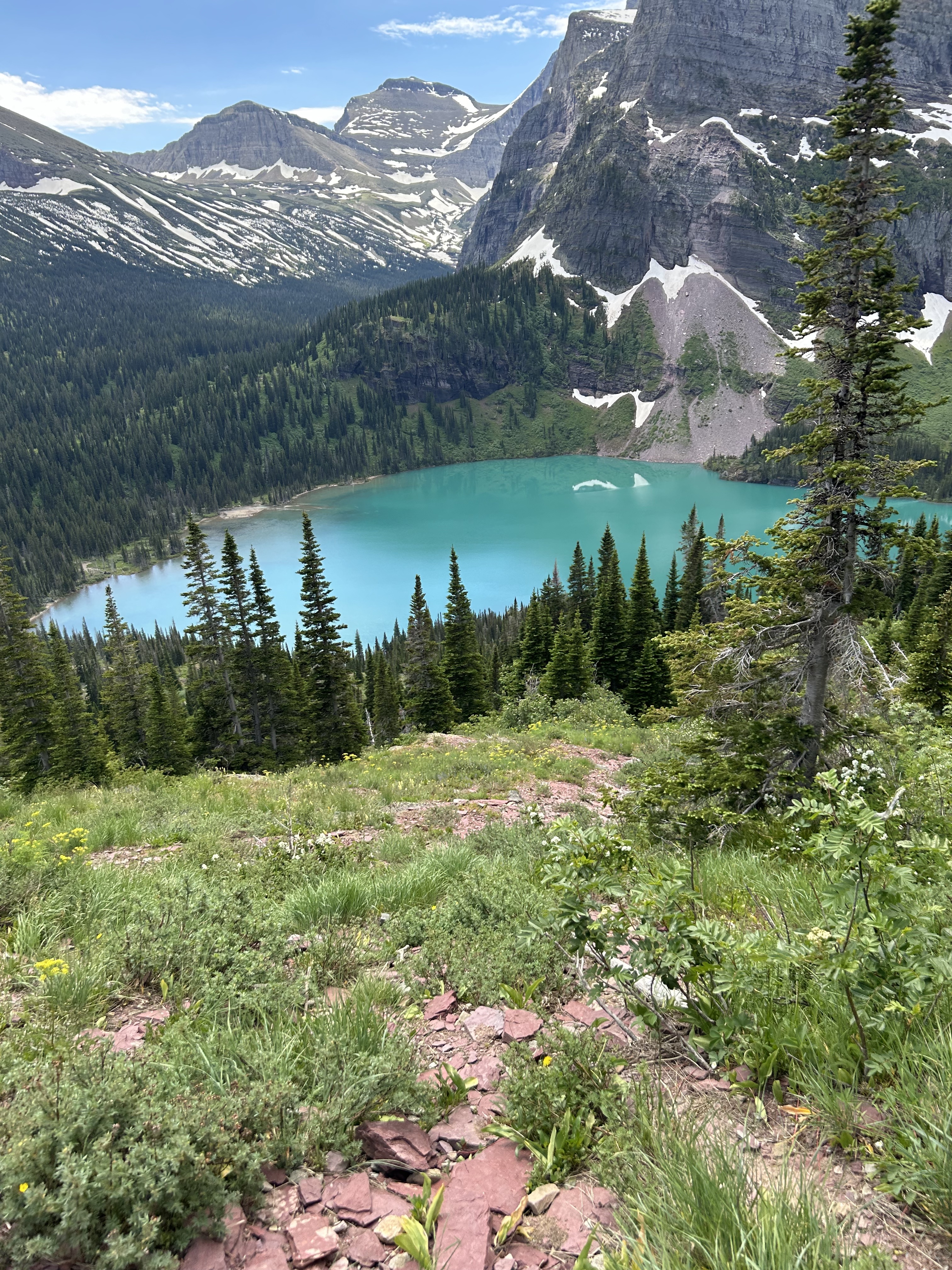Turquoise alpine lake surrounded by dense pine forest, wildflowers, and rocky mountain peaks with patches of snow under a partly cloudy sky.